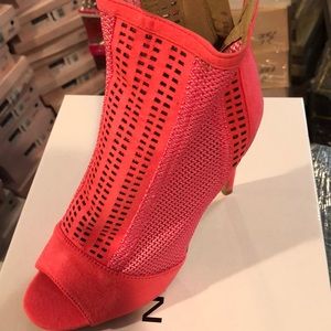 Cape Robin Pink
